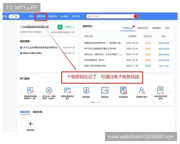 365速发登录账号密码忘记怎么办,详细解决方案与操作步骤 365速发登录账号密码忘记怎么办,详细解决方案与操作步骤