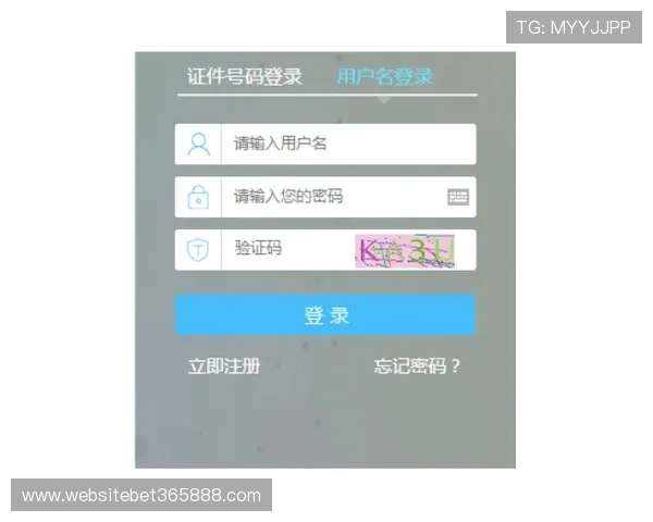 bet365官方网址注册流程详解，轻松开启您的在线博彩体验