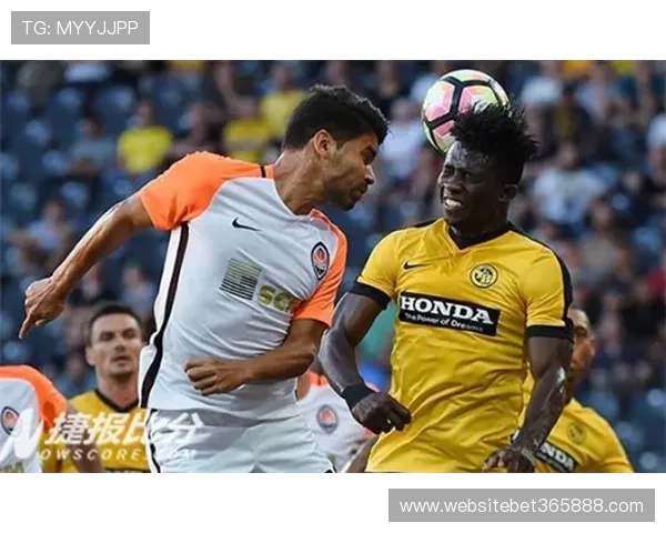 bet365高赔率赛事分析及如何提升盈利率的方法