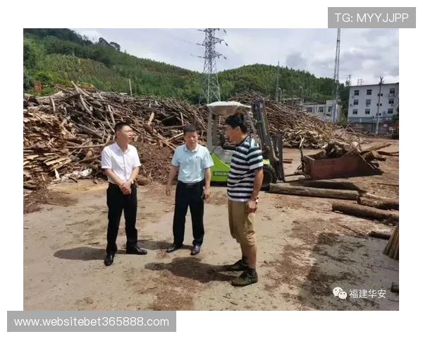 全面解析8xbet旗舰厅登录线路优势，提高登录速度保障账户安全保障